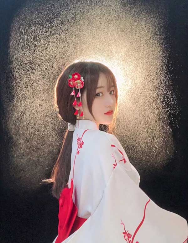 旧金山陪游